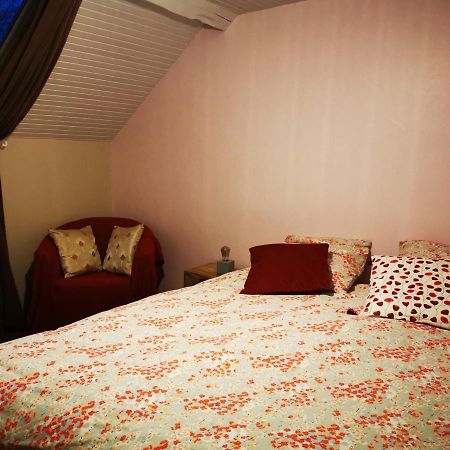 Domaine De L'Esperance, Chambre Rose Bed and Breakfast Bersaillin Exteriör bild