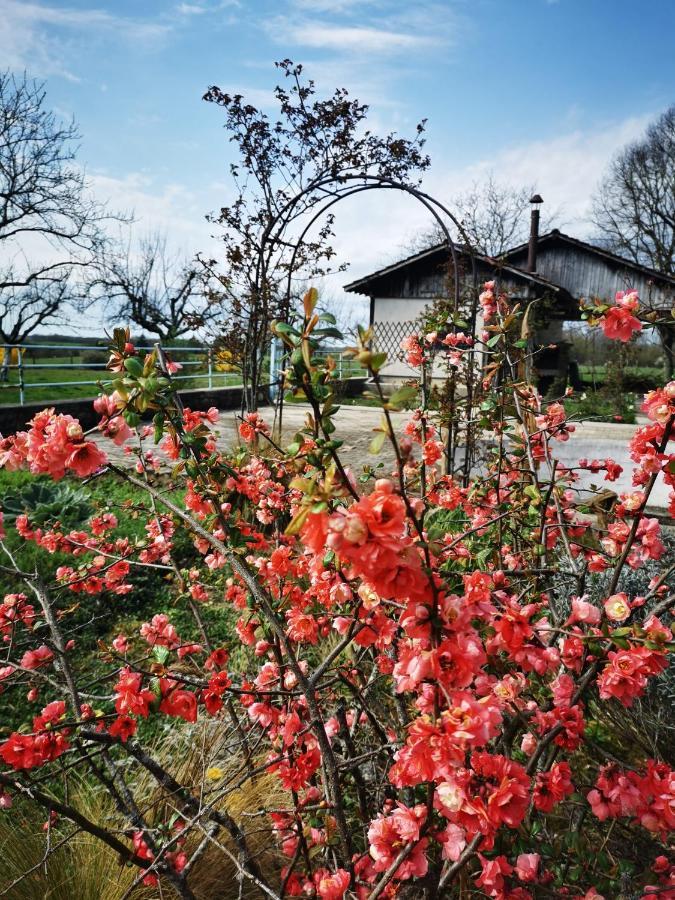 Domaine De L'Esperance, Chambre Rose Bed and Breakfast Bersaillin Exteriör bild